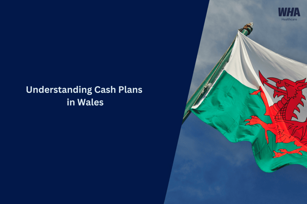 welsh flag - cash plans in Wales